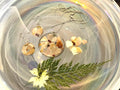 Abalone Shell Round Pendant and Earring Set