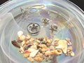 Starfish Pendant Necklace and Earring Set: Stainless Steel, 18" Snake Chain