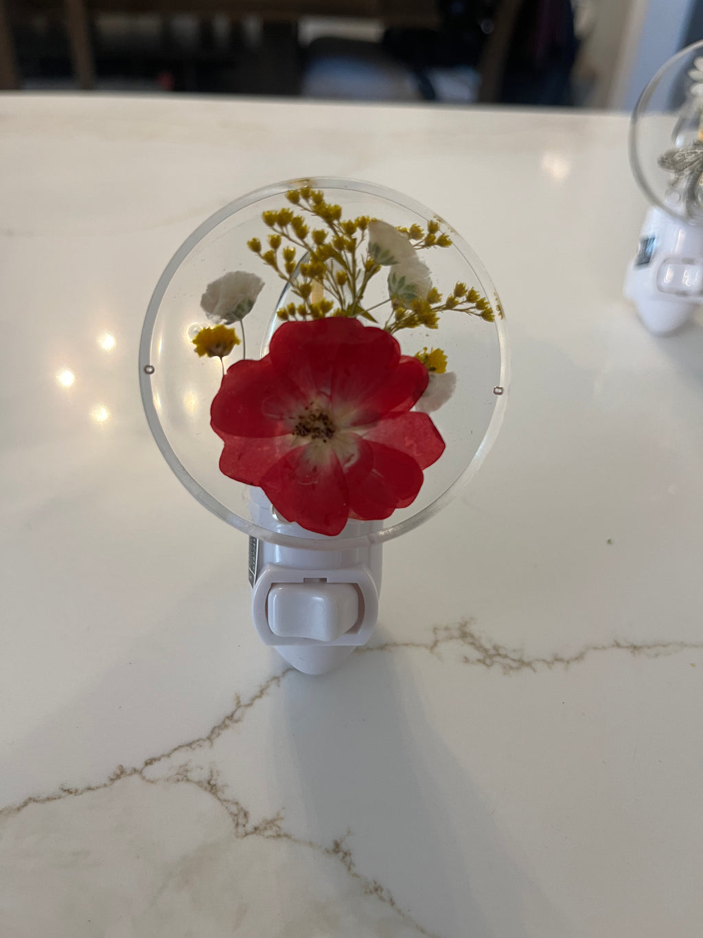 LED Resin Night Light