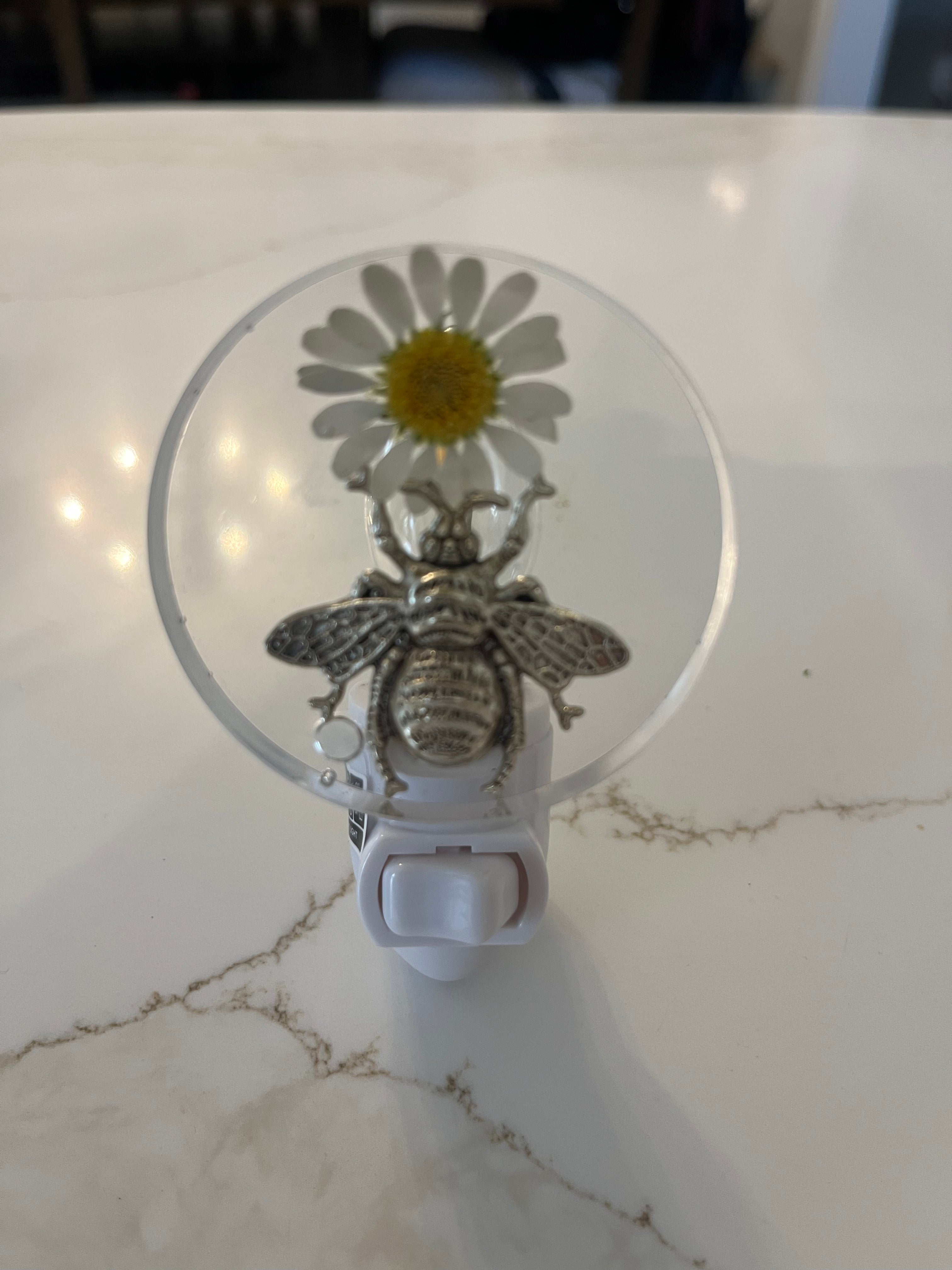 LED Resin Night Light