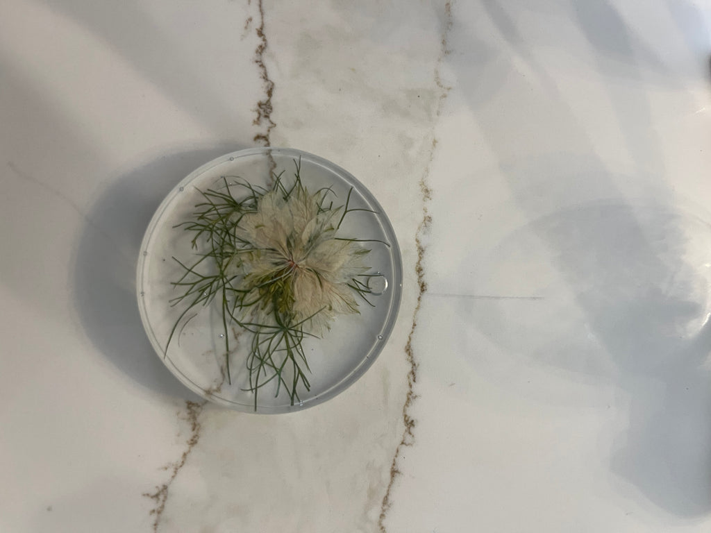 LED Resin Night Light