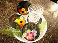 4 Piece black and pressed floral Coaster set