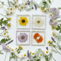 Garden Bloom Resin Coaster Set – Pressed Flower Set of 4 - The Glossy Gift Shop