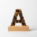 Letter A