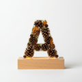 Pinecone & Leaves Resin Lighted Letter – Nature-Inspired Night Light - The Glossy Gift Shop